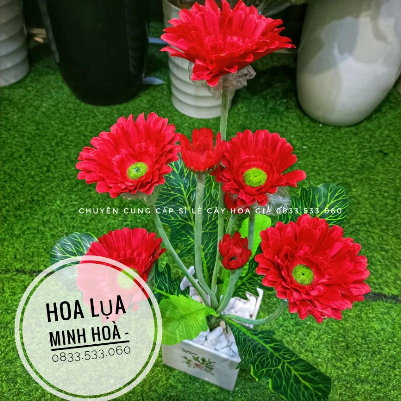 Cụm hoa đồng tiền vải lụa phủ nhung cao 50cm-Cây hoa giả trang trí nội thất-Hoa lụa Minh Hòa