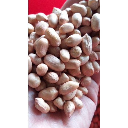 ĐẬU PHỘNG SẠCH. đậu phộng lựa tay  500 gr