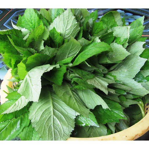 Cây cải trời phơi khô( thơm.sạch)