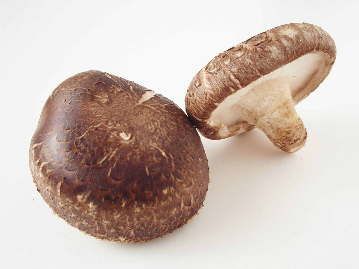 Nấm Hương Tươi THT - khay 150gr
