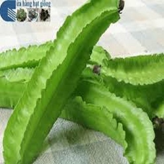 Hạt giống Đậu Rồng - Hạt giống đỗ khế