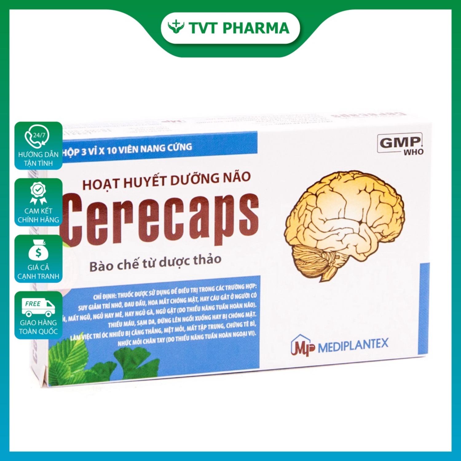Hoạt Huyết Dưỡng Não Cerecaps Mediplantex Hỗ Trợ Cải Thiện Suy Giảm Trí Nhớ