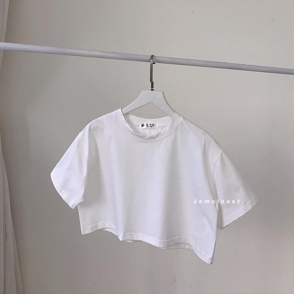 Áo Croptop Trơn ABI - 10084 (JEM CLOSET)