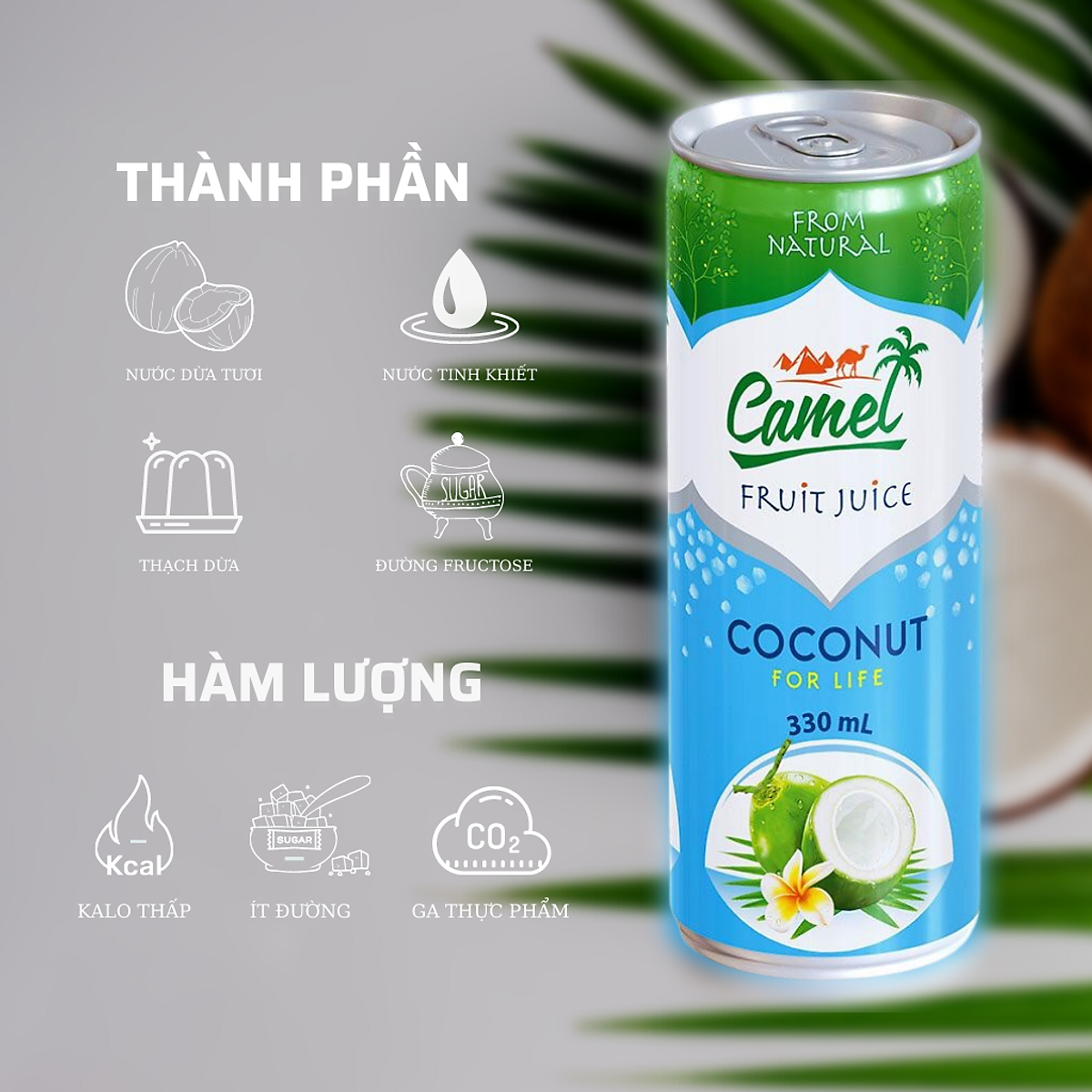 Nước dừa Camel thùng 24 Lon x 330ml