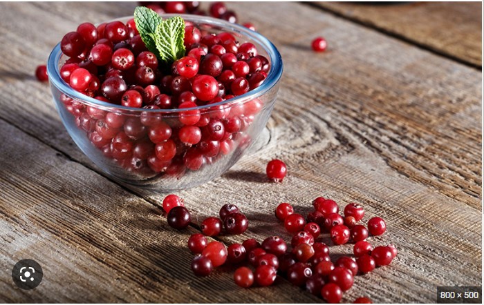Nam việt quất khô 1kg