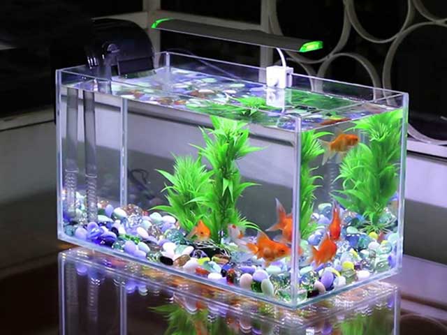 Máy bơm nước bể cá cảnh AP1550