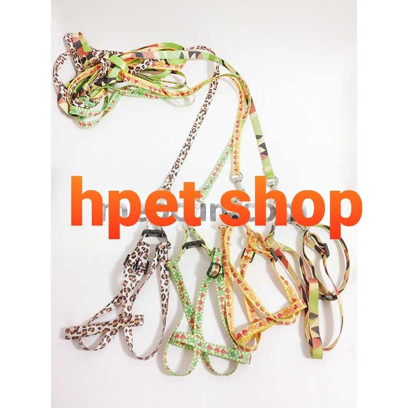 Dây dắt mèo cổ yếm
