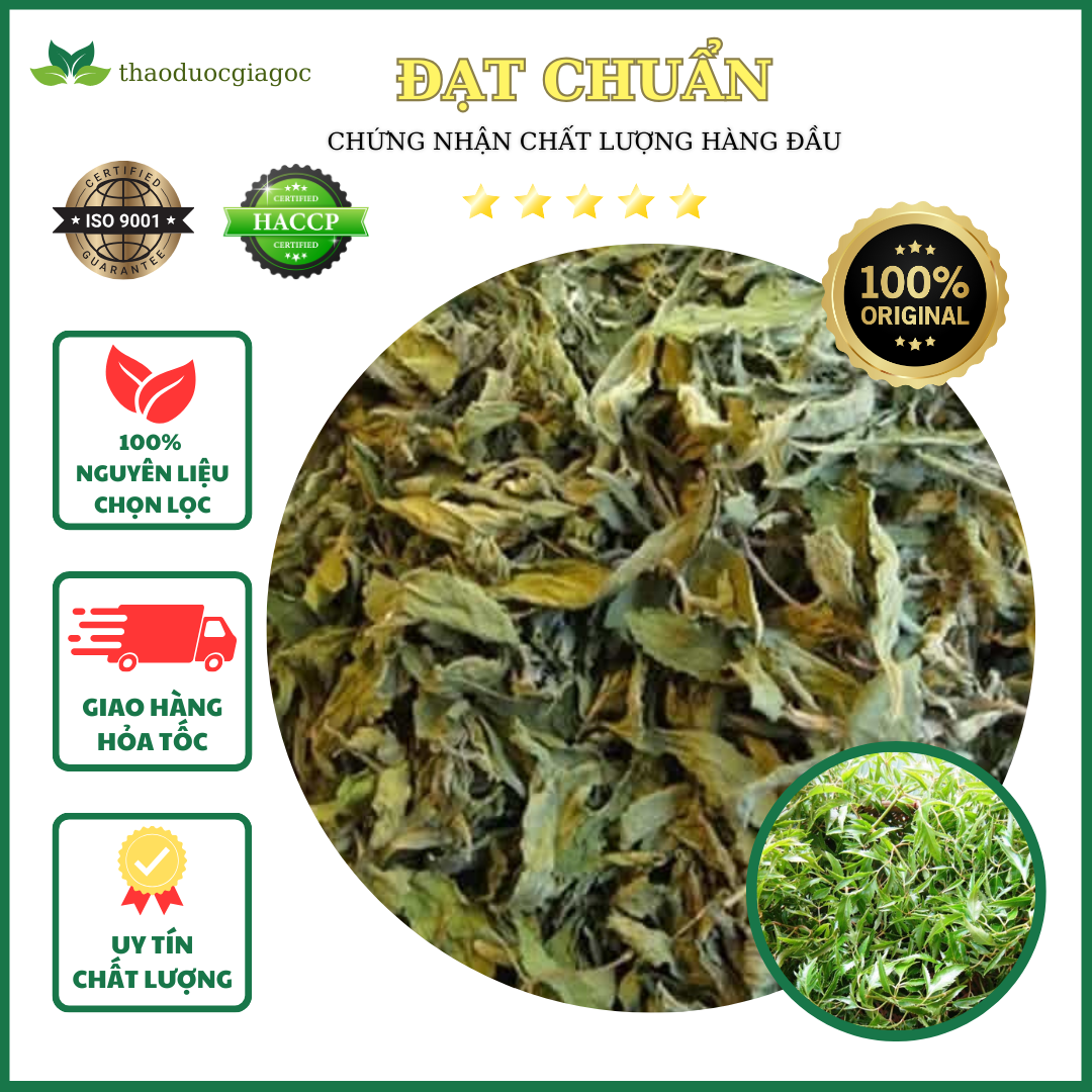 500gr lá đinh lăng khô làm gối sắc nước uống.