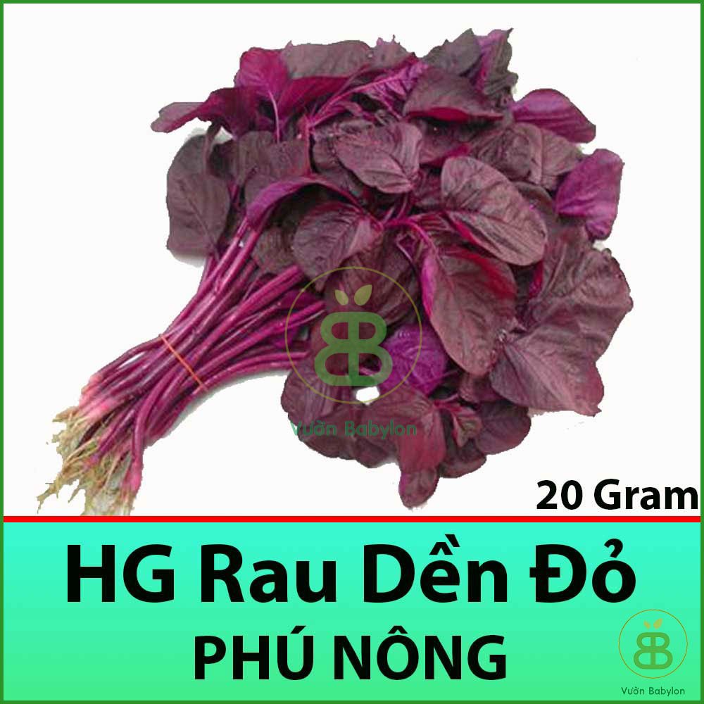 20GR Hạt Giống Rau Dền Đỏ Giàu Dinh Dưỡng