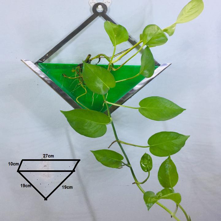 Bể cá mini treo tường ,  trồng cây size 19