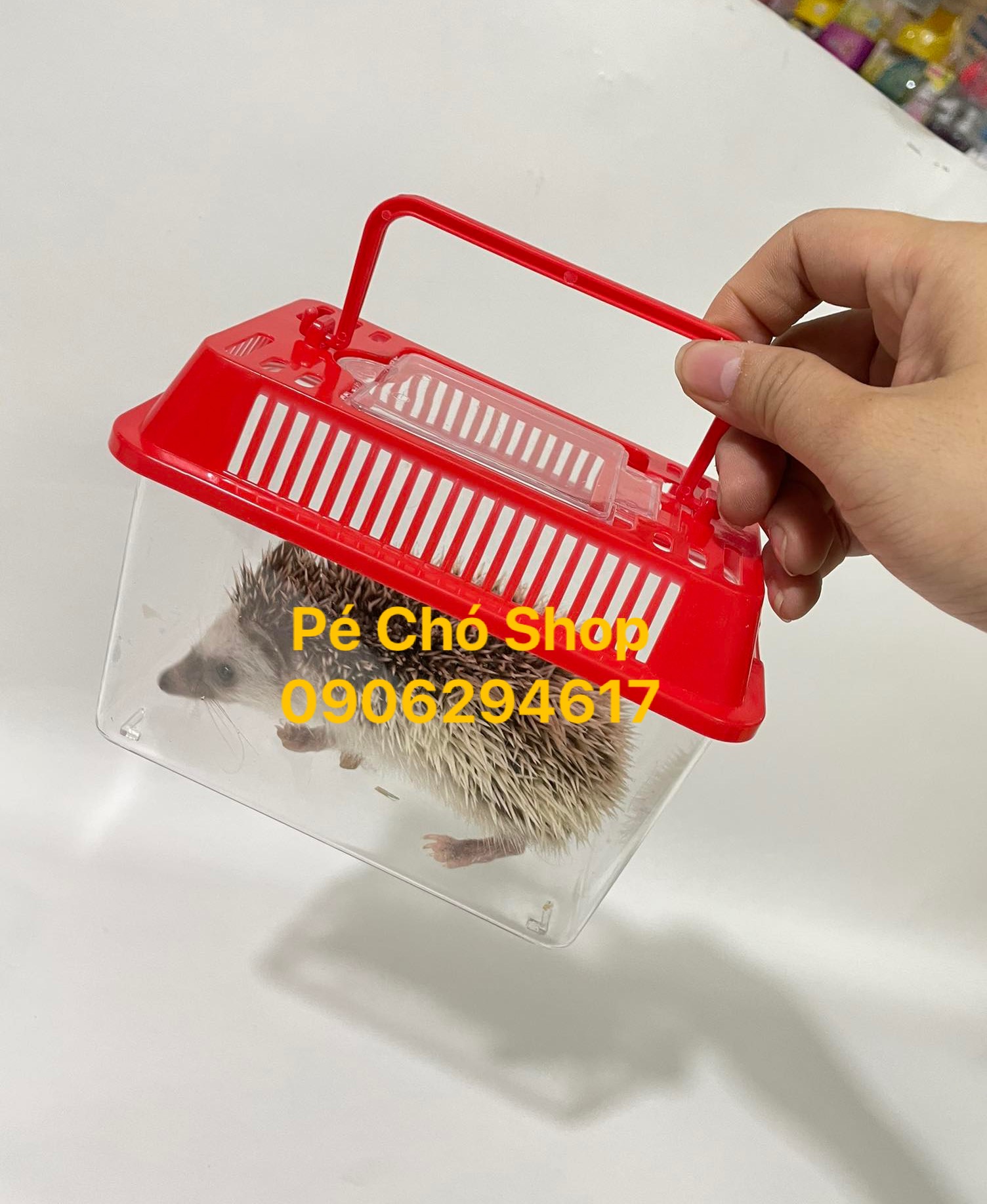 [HCM]Hộp Mika Nhỏ vận chuyển thú cưng bò sát(size dài 15cm rộng 7cm cao10cm)