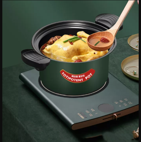 Nồi Áp Suất Mini Đa Năng 3.5L