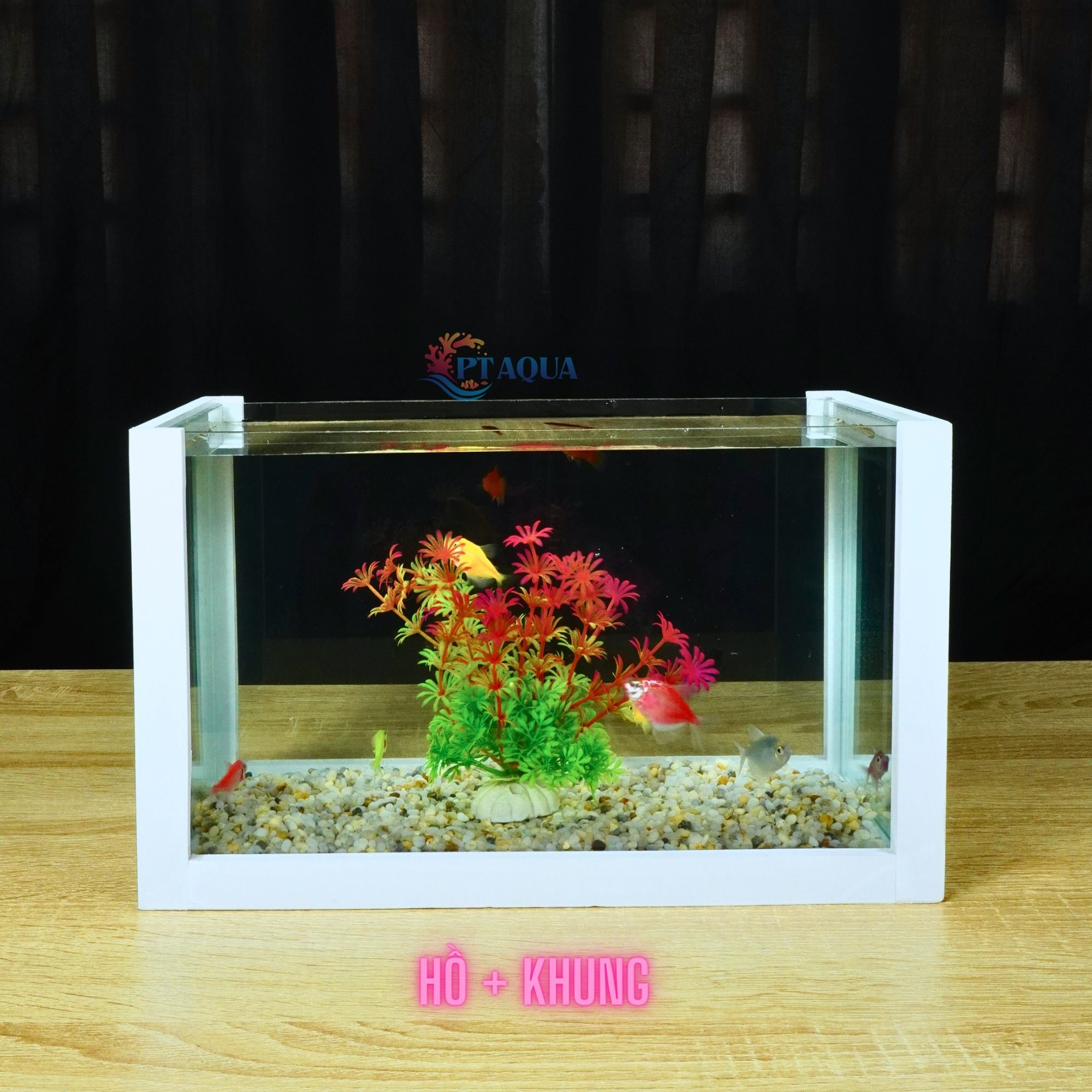 Bể cá mini full combo để bàn đầy đủ phụ kiện