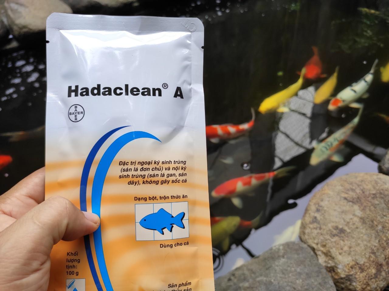 combo hadaclean A v Virkon A