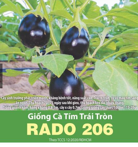 Hạt giống rd cà tím trái tròn rado 206 gói 0.5gr