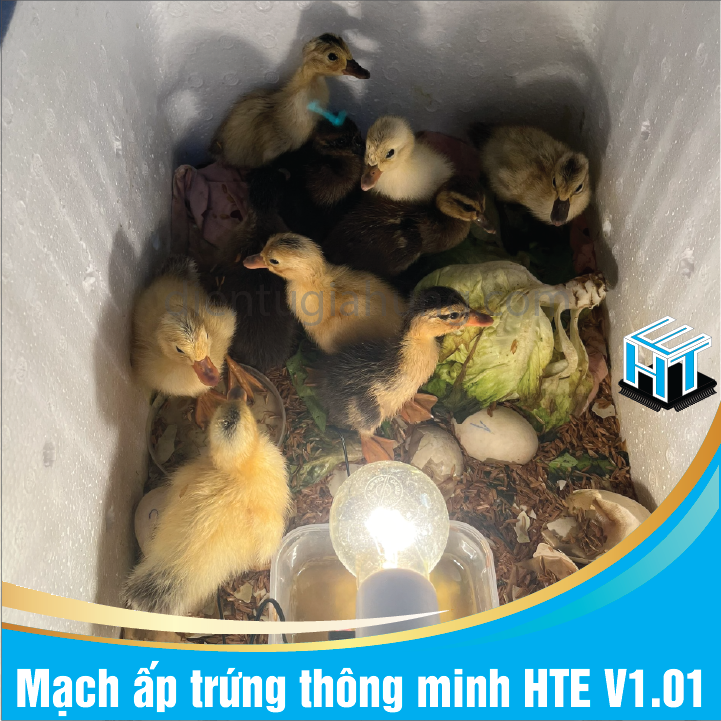 Mạch ấp trứng thông minh HTE V1.01(1Bộ)