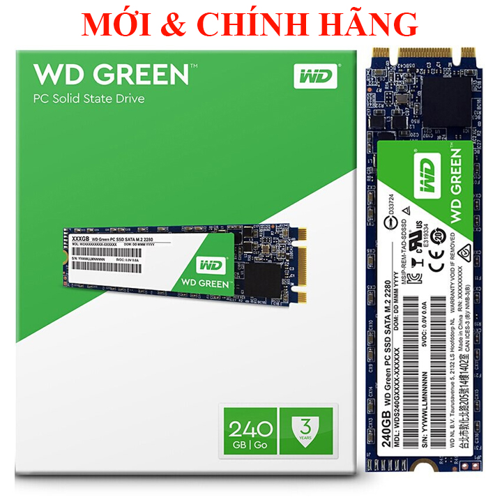 Ổ cứng SSD WD 240GB Chuẩn M.2 Green