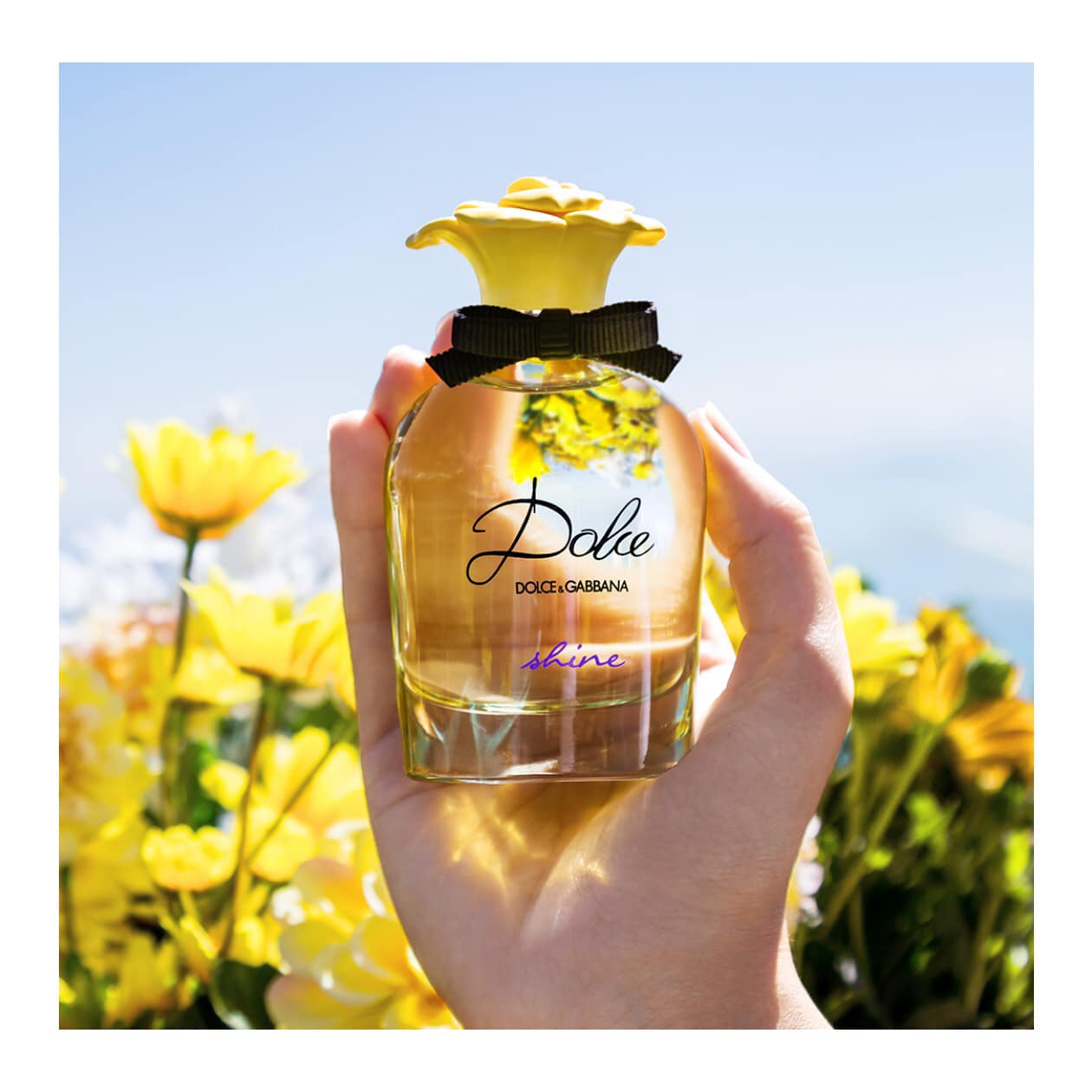 Nước hoa nữ DG Dolce Shine EDP chiết 10ml, 20ml