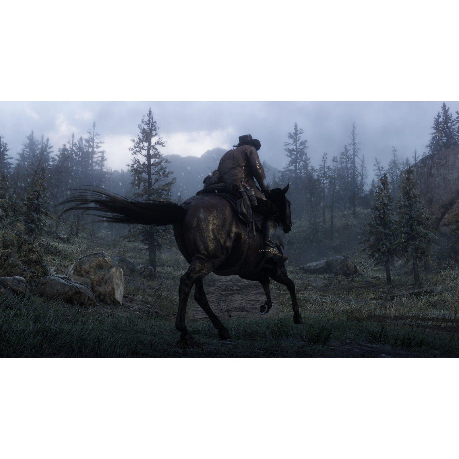 Đĩa Game PS4 - Red Dead Redemption 2