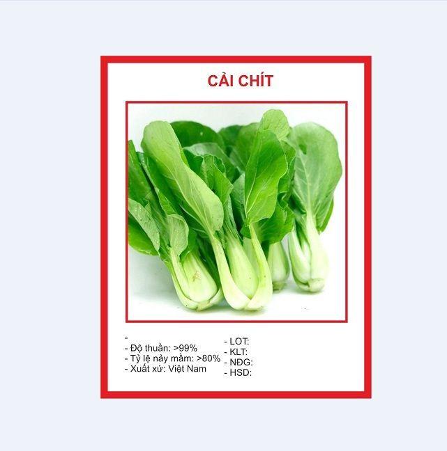 Combo 4 gói hạt giống rau cải ( cải ngòng + cải ngọt + cải xanh + cải chíp )