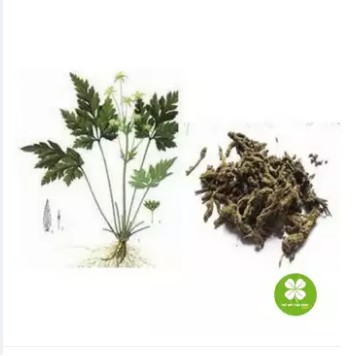 Hoàng liên sấy khô 100gram -EG081