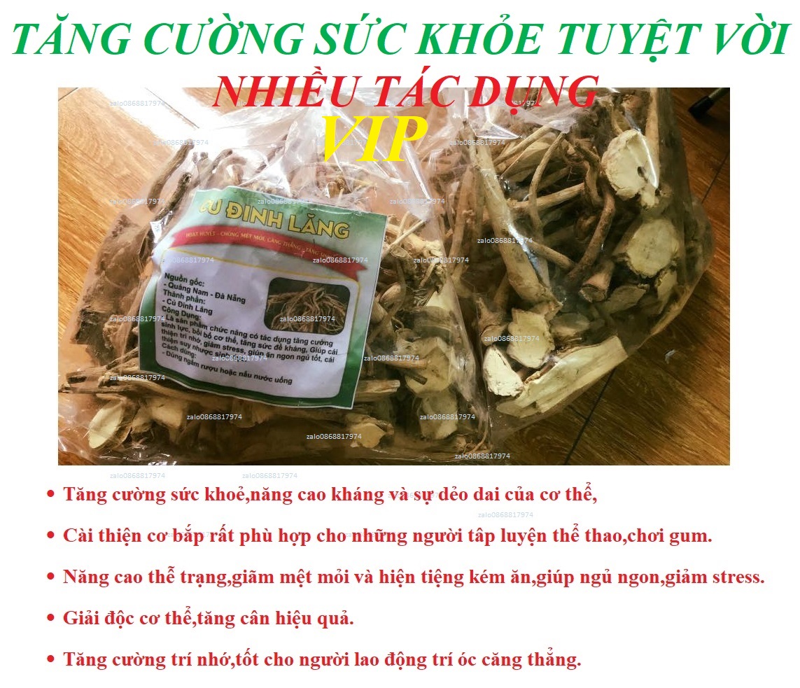 4bộ RỄ ĐINH LĂNG NẾP TĂNG CƯỜNG SỨC KHỎE+ĐỀ KHÁNG+CƠ BẮP+TĂNG CÂN+TRÍ NHỚ+GIẢM STRESS+GIẢI ĐÔC. RDL 2.2