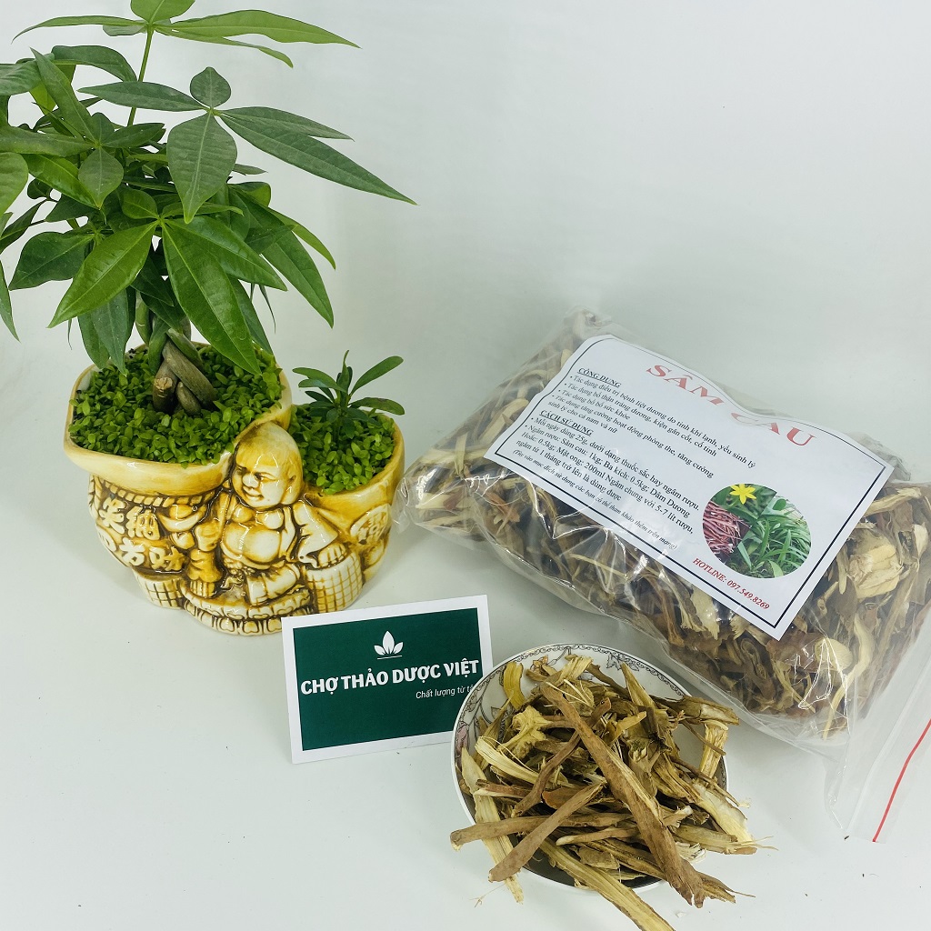 Sâm cau khô 500g, sâm cau đỏ thái phiến, giúp bổ thận tráng dương, tăng cường sinh lý, mạnh gân cốt