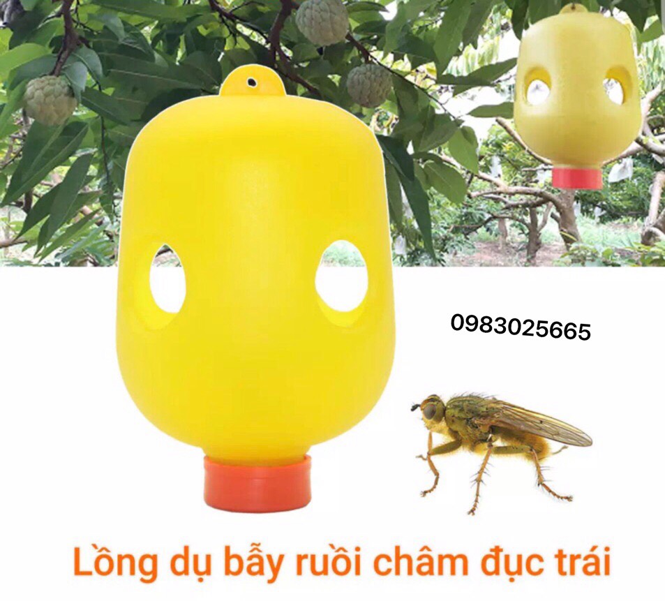 Bộ 5 Lồng dụ bẫy ruồi châm đục trái