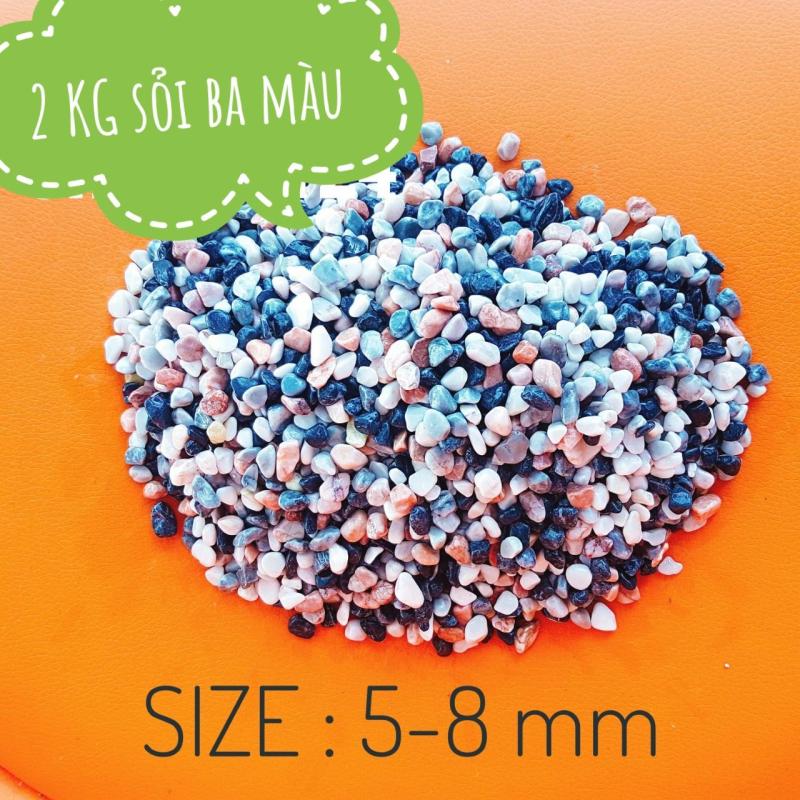 Sỏi đá màu size 5-8 mm (2 KG) trang trí hồ cá, chậu cây cảnh, terrarium, sân vườn