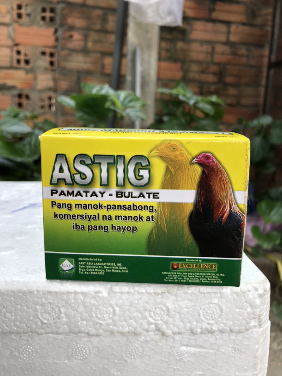 ASTIG xổ lãi cho gà đá