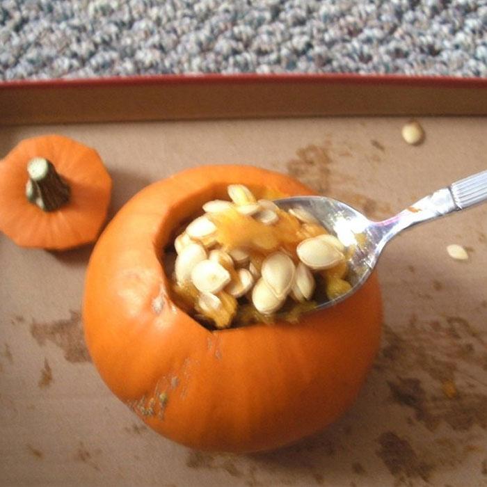 miniature pumpkin seeds - Sale Off