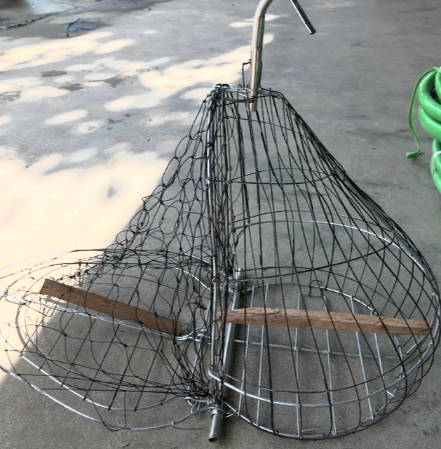 Lồng bẫy chim cu gáy, bìm bịp