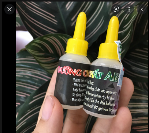 Dưỡng chất AB dưỡng mầm cho lan (10ml)