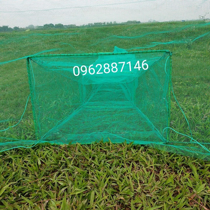 đăng chặn sông dớn bắt cá lưới bắt cá 6m đến 8m