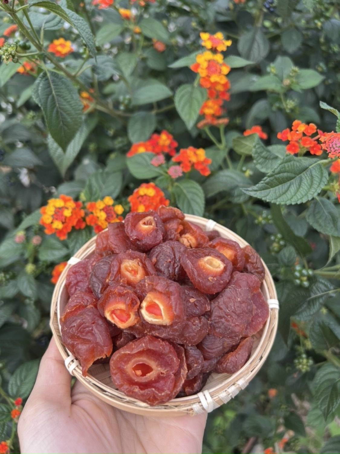 Mận chẻ (đào bổ) lᴏại 1 gói 500gr
