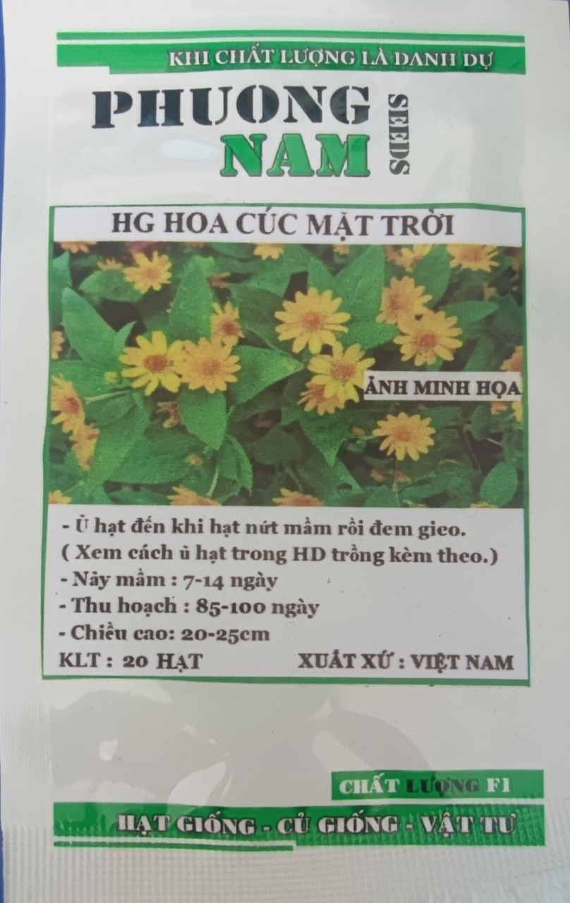 Hạt giống hoa cúc mặt trời 20 hạt / gói