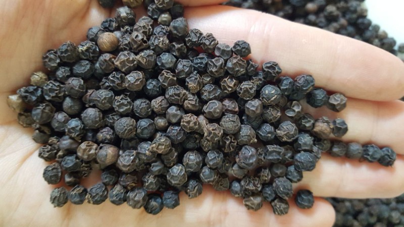 Bột Tiêu Hữu Cơ Dace 50gr chỉ 69k