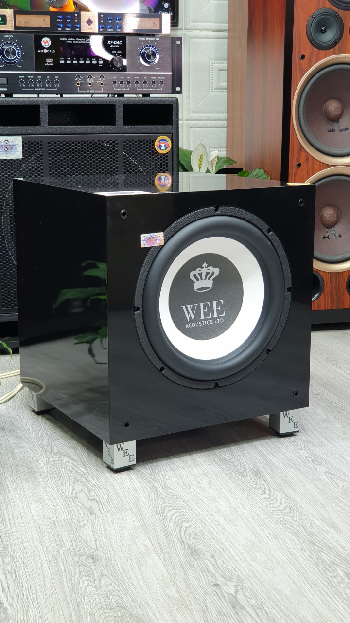 Loa sub cộng hưởng Weeworld T8i
