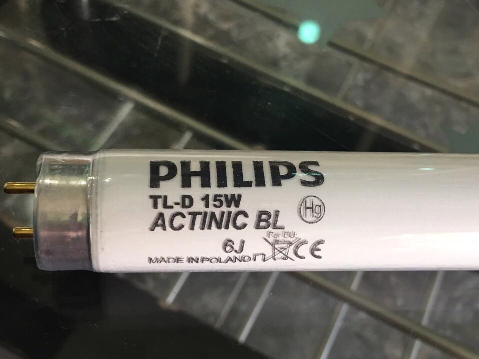 BÓNG ĐÈN DIỆT CÔN TRÙNG PHILIPS 15W