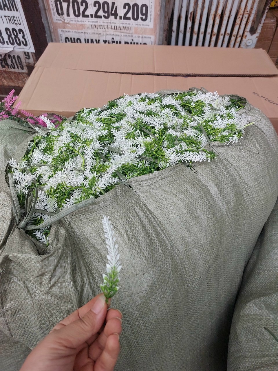 100g Cụm điểm hoa baby, cỏ điểm hoa baby