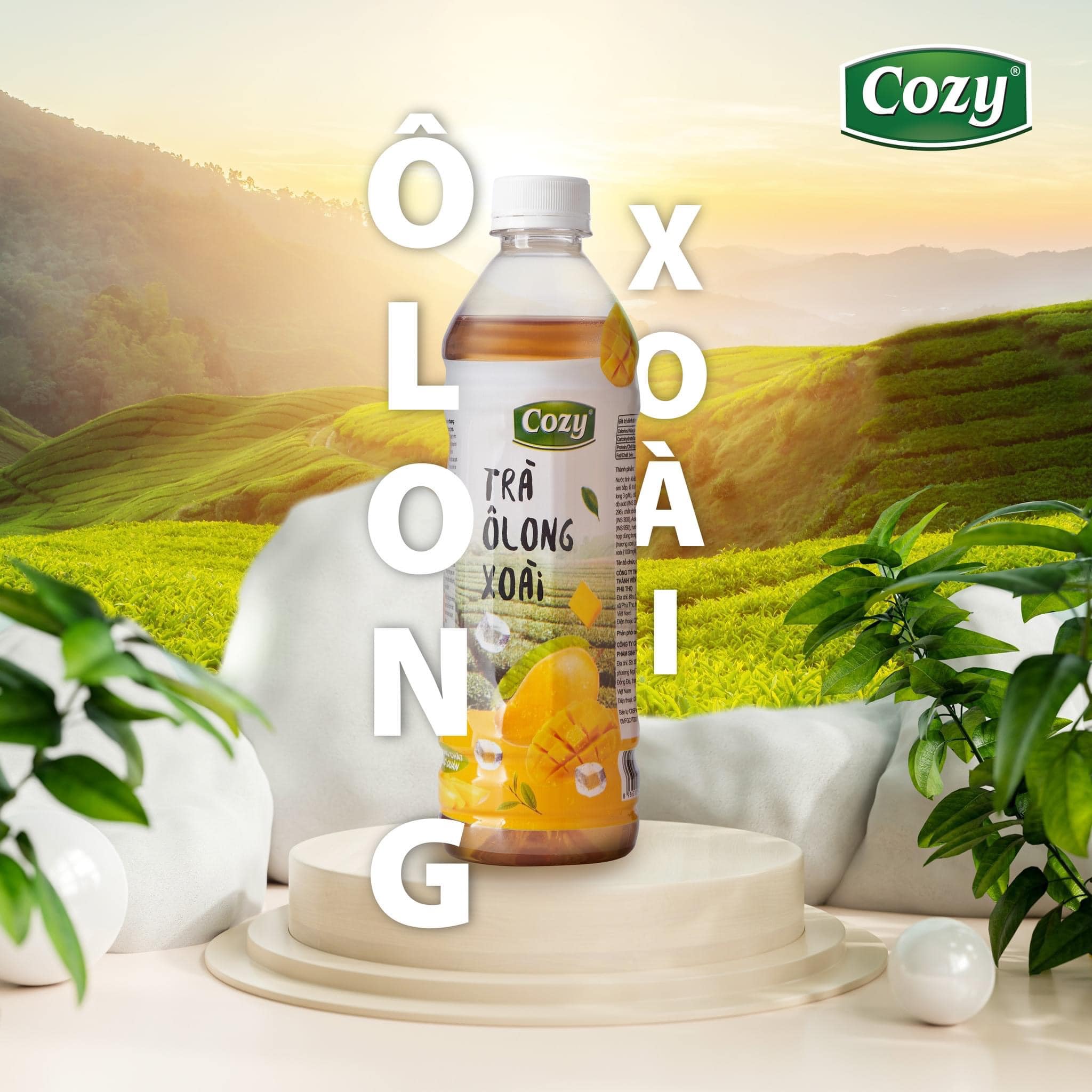 Trà hoa quả Cozy chai 455ml