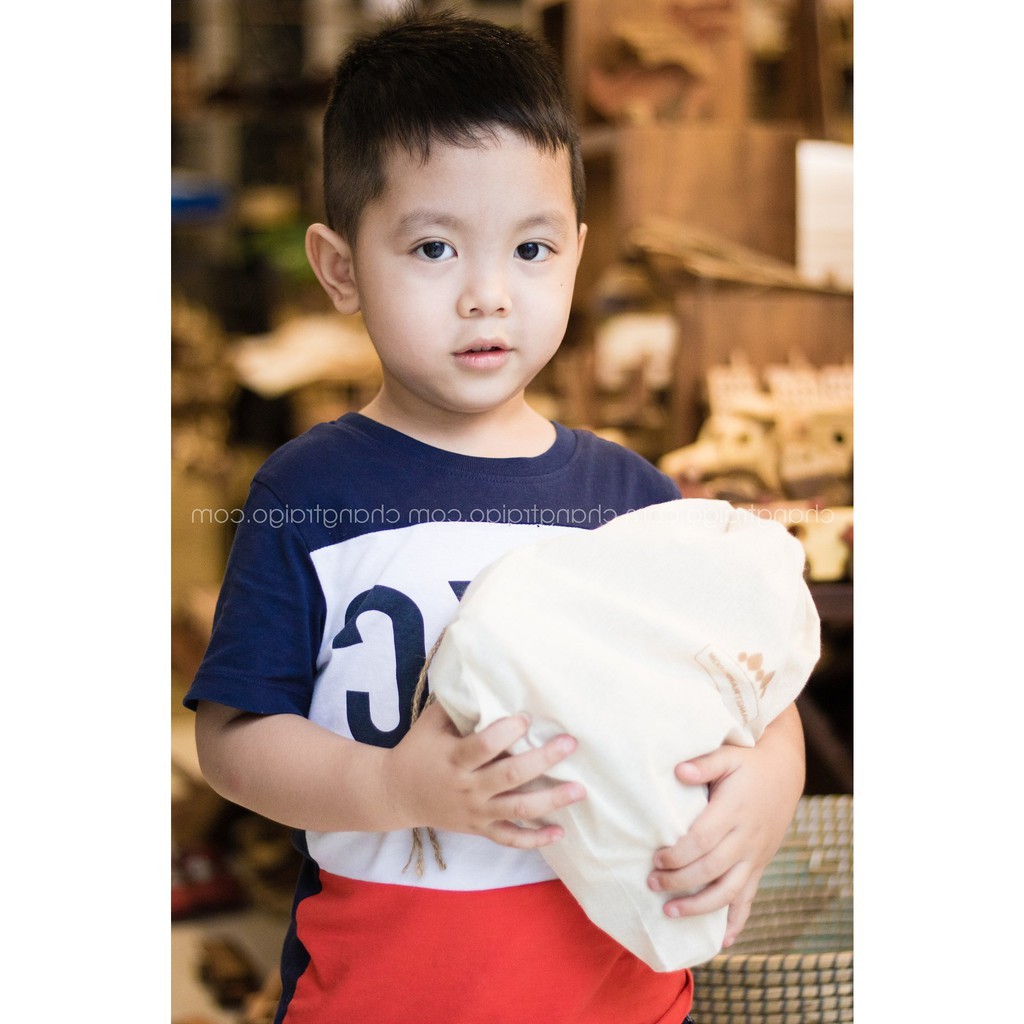 Đá Gỗ Cân Bằng Tumi ishi - Đồ Chơi Gỗ Gemoni
