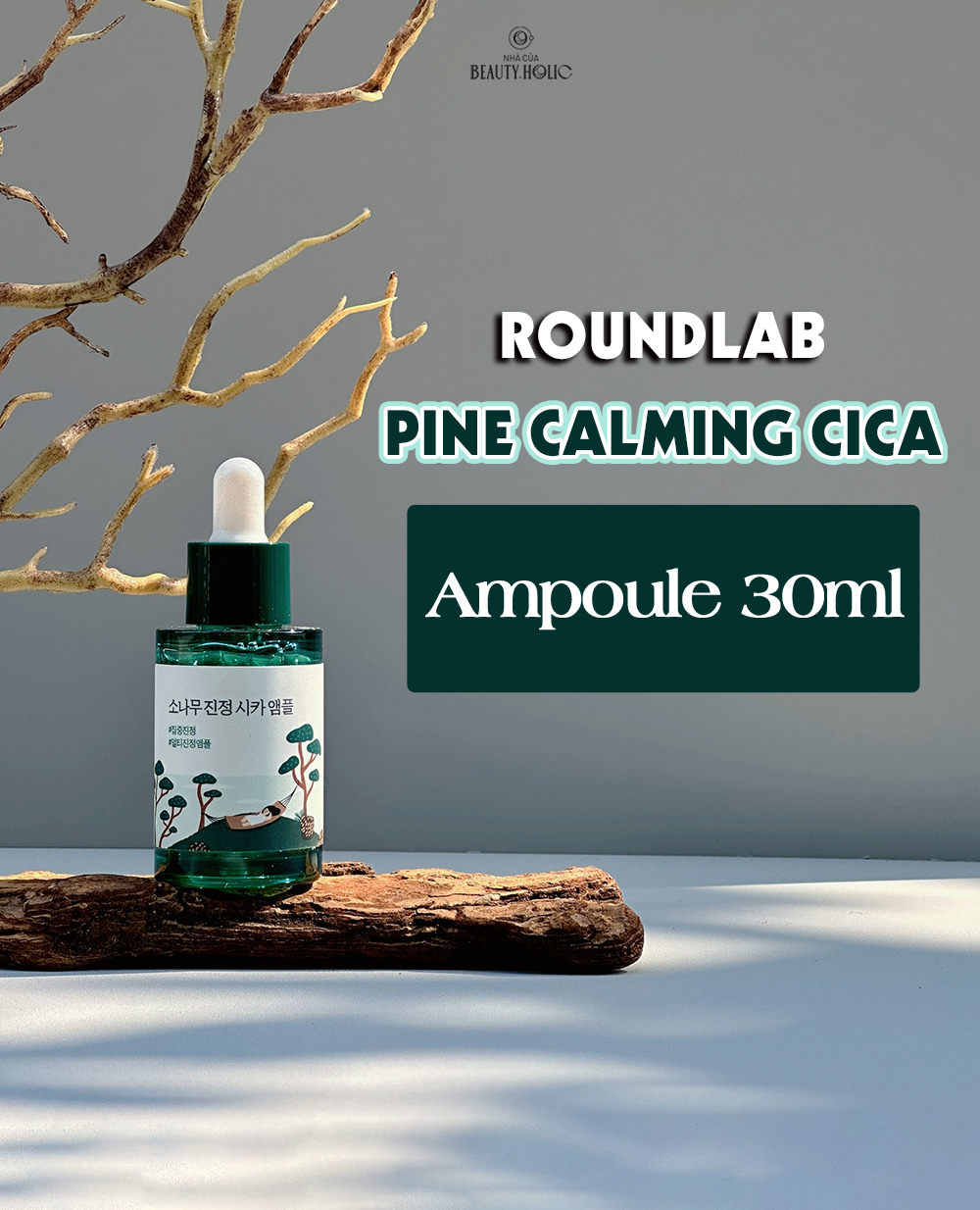 [Nhacuabeautyholic] Tinh chất, pad và toner dịu mụn ROUNDLAB PINE CALMING CICA