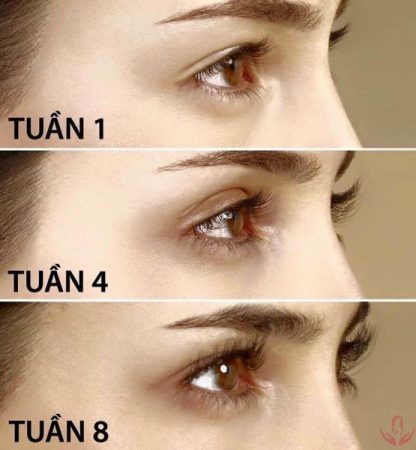 Mascara 2 Đầu Ashley Curl Long Volume Upper and Lower A188