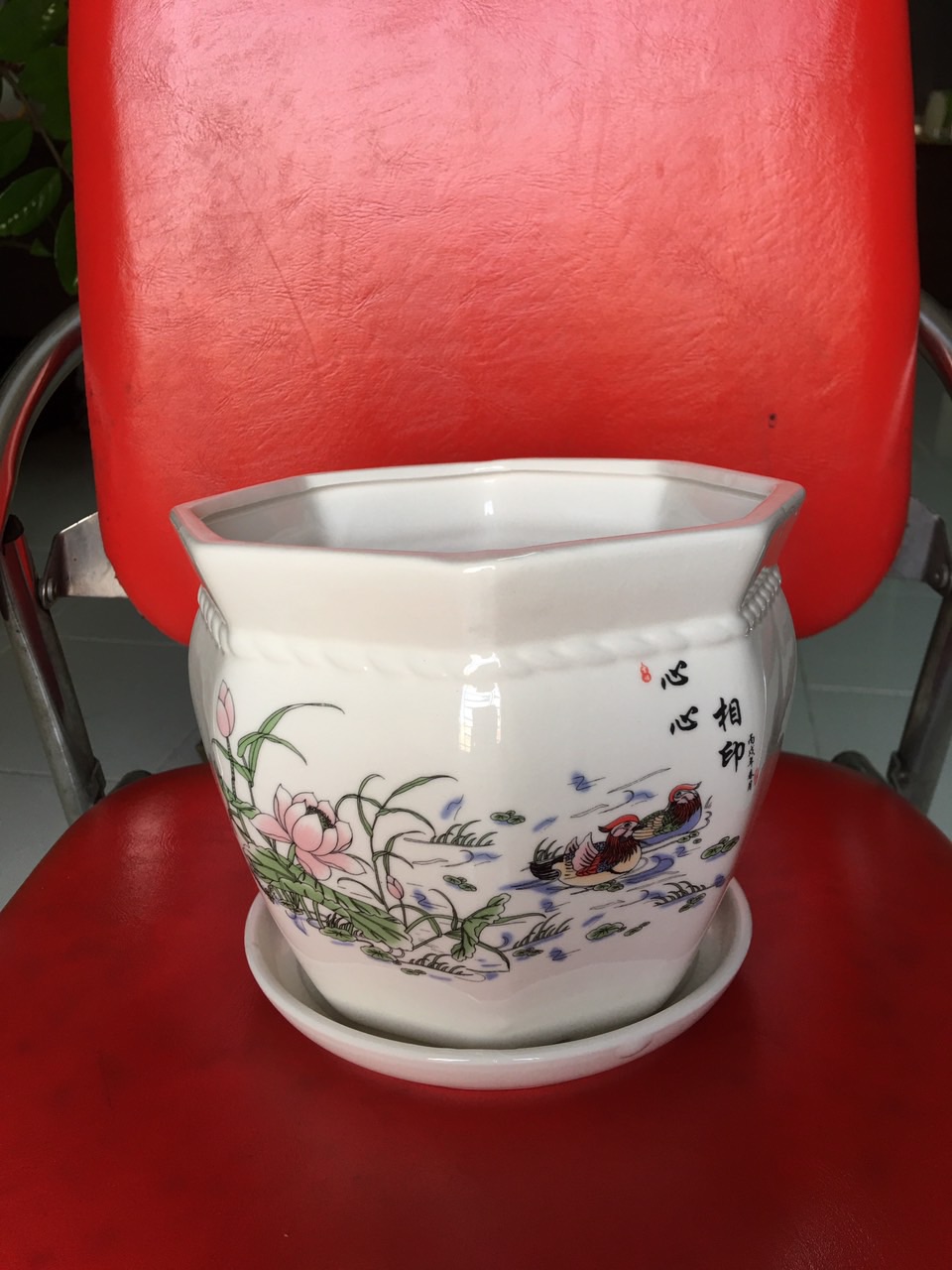 Chậu sứ hình lục giác