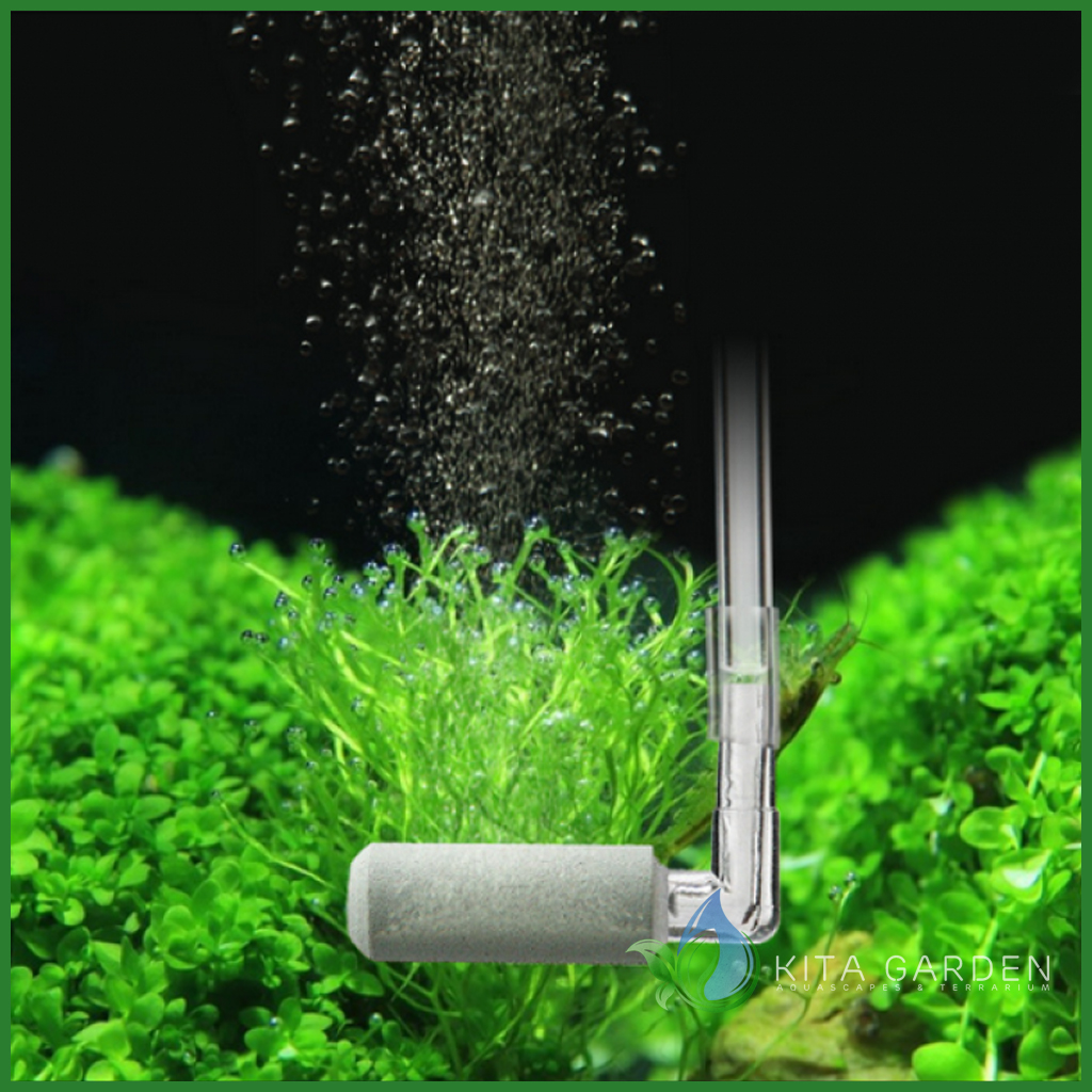 Sủi CO2 thanh acrylic siêu mịn