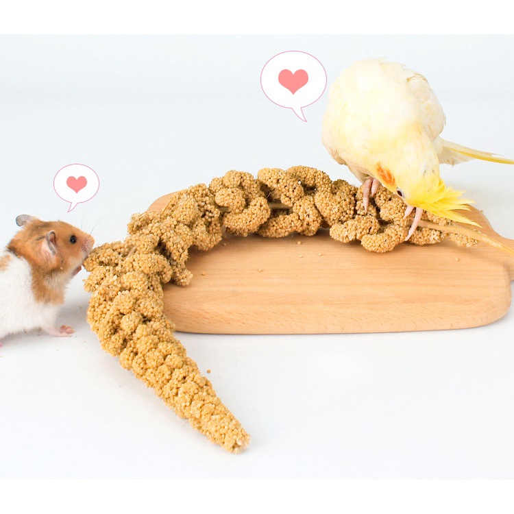 Kê chùm/ kê sợi cho hamster