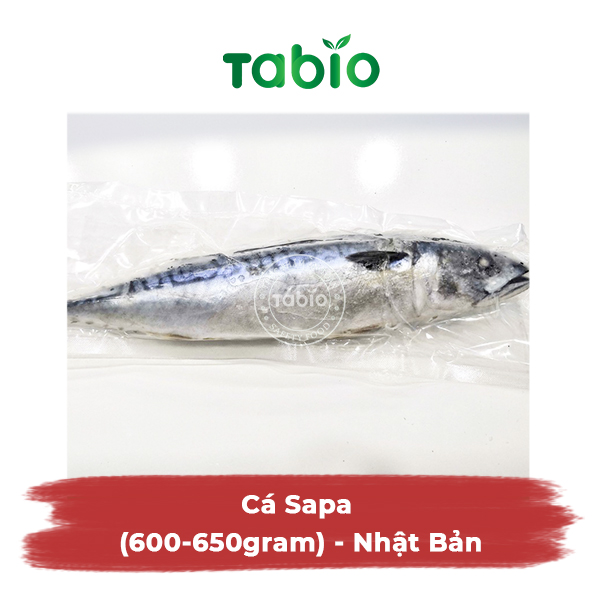 HCM - Cá Sapa (600-650gram) - Nhật Bản - TABIO