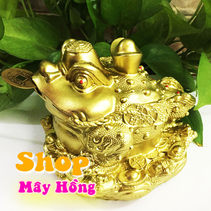 Thiềm thừ cóc ngậm tiền cao 11 cm x rộng 13 cm nặng 1.5 kg mang tài lộc cho mọi người