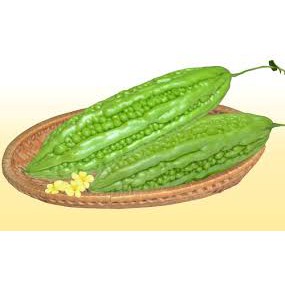 Hạt giống Mướp đắng quả to